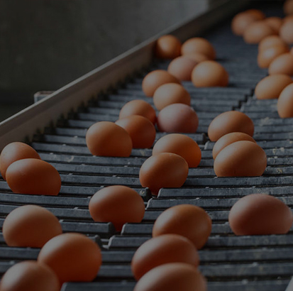 Customer Cases (Demo Data)