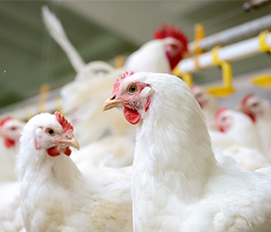 [Demo Data]The Top Modern Holiday Gifts